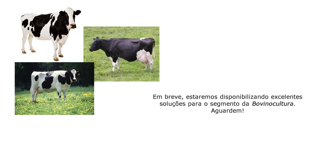 portfolio bovinocultura